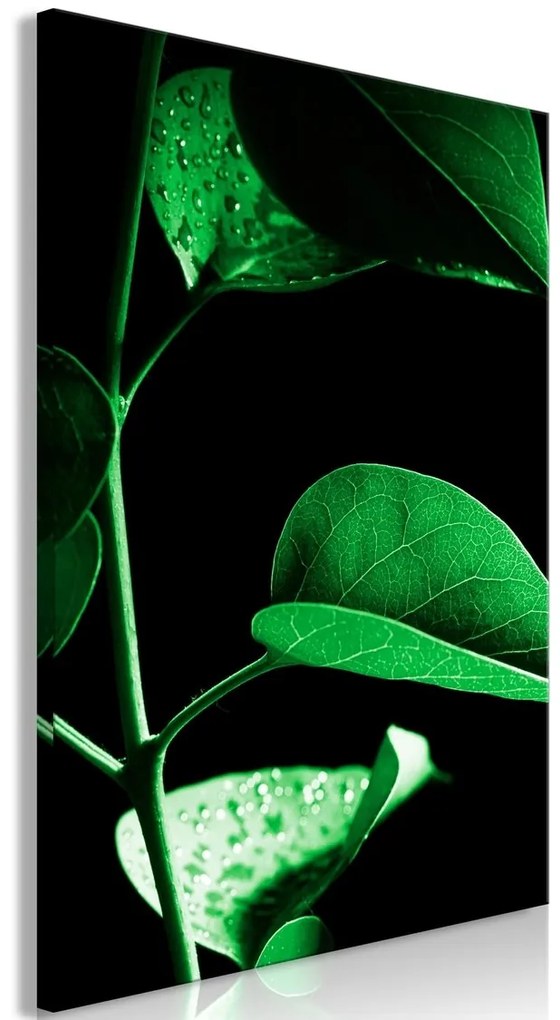 Πίνακας - Plant in Black (1 Part) Vertical - 40x60