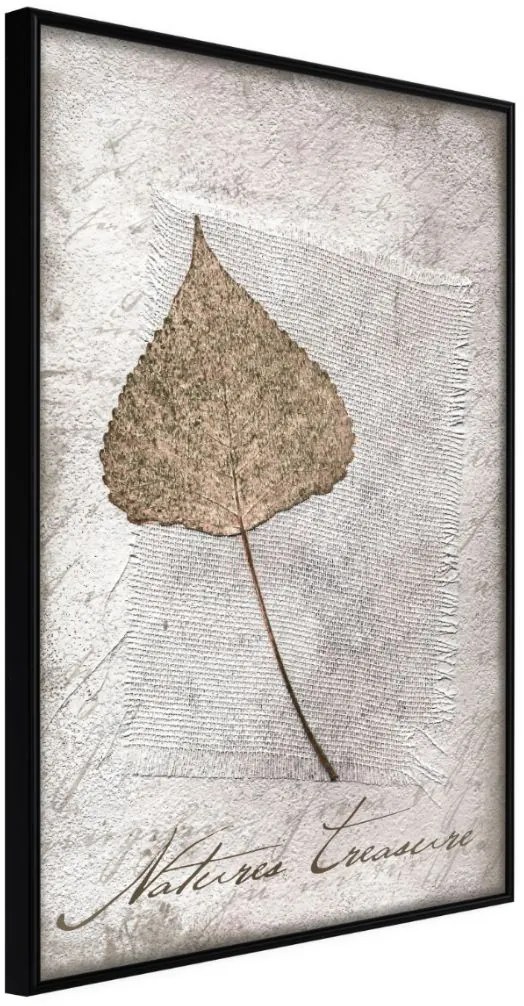 Αφίσα - Dried Leaf - 20x30 - Μαύρο - Χωρίς πασπαρτού