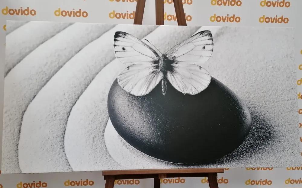 Εικόνα Zen πέτρα με πεταλούδα σε ασπρόμαυρο σχέδιο - 120x60
