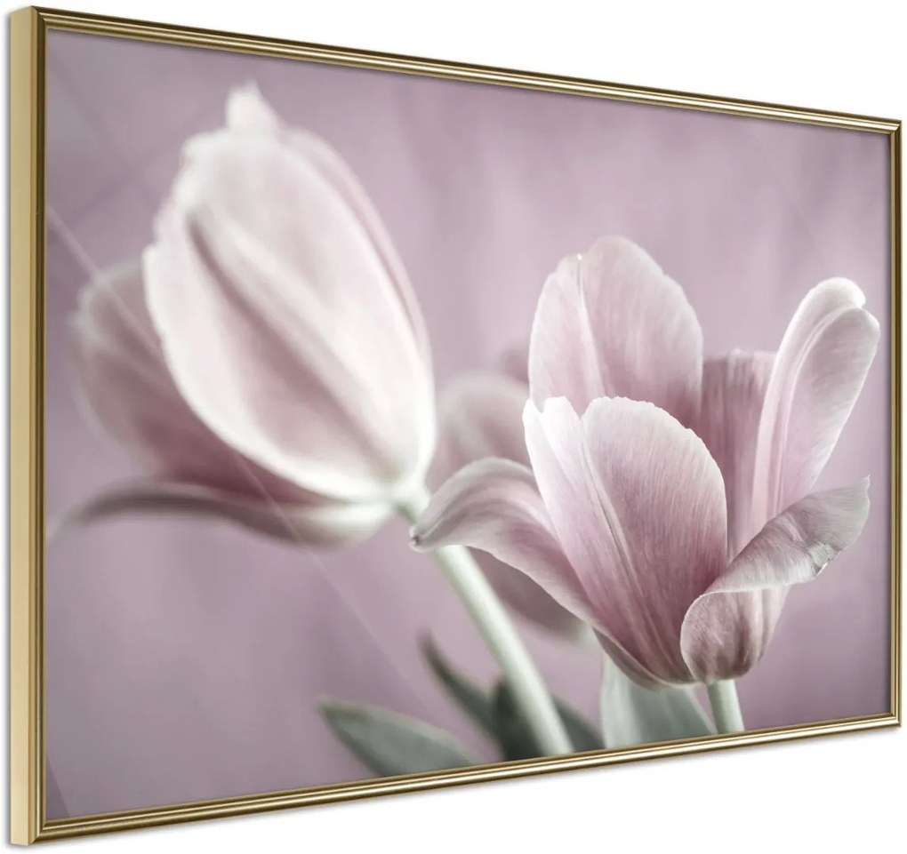 Αφίσα - Pastel Tulips I - 45x30 - Χρυσό - Χωρίς πασπαρτού