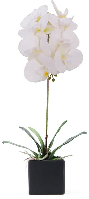 ORCHIDEA 4 ΤΕΧΝΗΤΟ ΛΟΥΛΟΥΔΙ PEVA ΚΕΡΑΜΙΚΟ ΛΕΥΚΟ H63cm - 020777