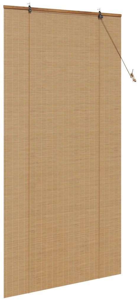 vidaXL Ρολά και Σκίες Παραθύρων Ανοιχτό καφέ 100 x 220 cm Μπαμπού
