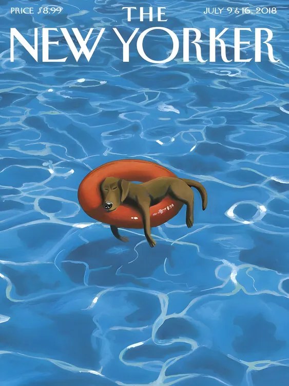 Εικονογράφηση The NY Magazine Cover 202