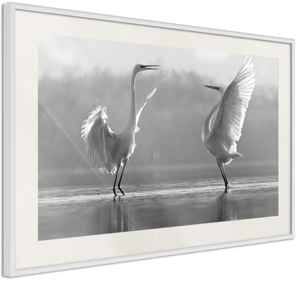 Αφίσα - Black and White Herons - 30x20 - Χρυσό - Χωρίς πασπαρτού