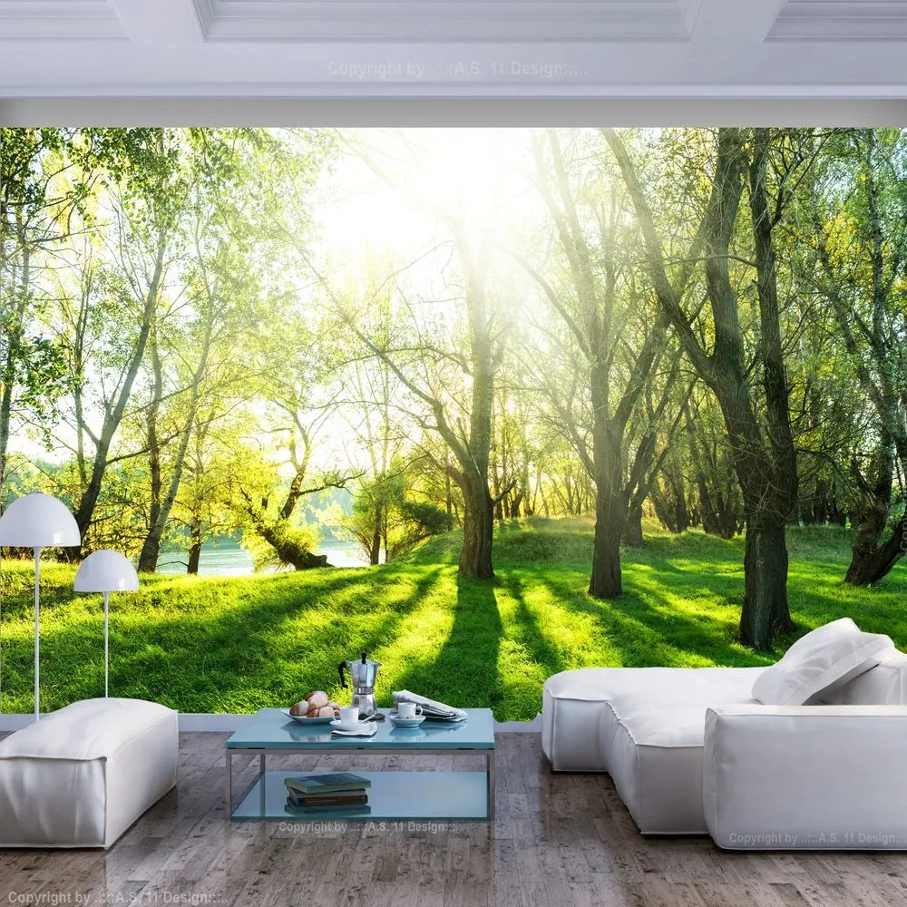 Αυτοκόλλητη ταπετσαρία Sunny Forest - 294x210