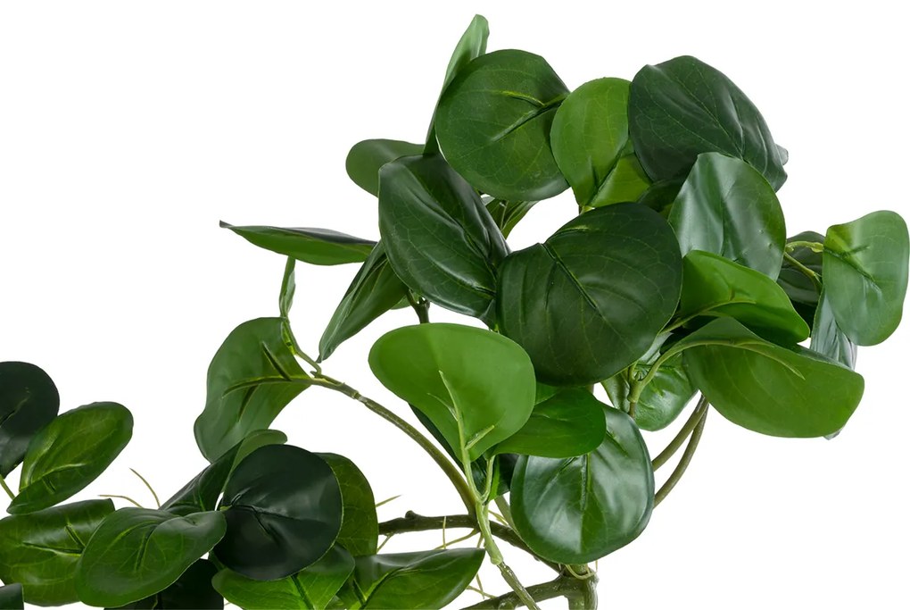 GloboStar® Artificial Garden HANGING PEPEROMIA 20599 Τεχνητό Διακοσμητικό Κρεμαστό Φυτό Πεπερόμια Μ30 x Π31 x Υ50cm