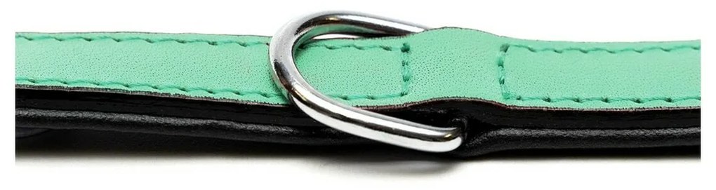 Κολλάρο Σκύλου Gloria Γεμισμένο Πράσινο (30 x 1,5 cm)