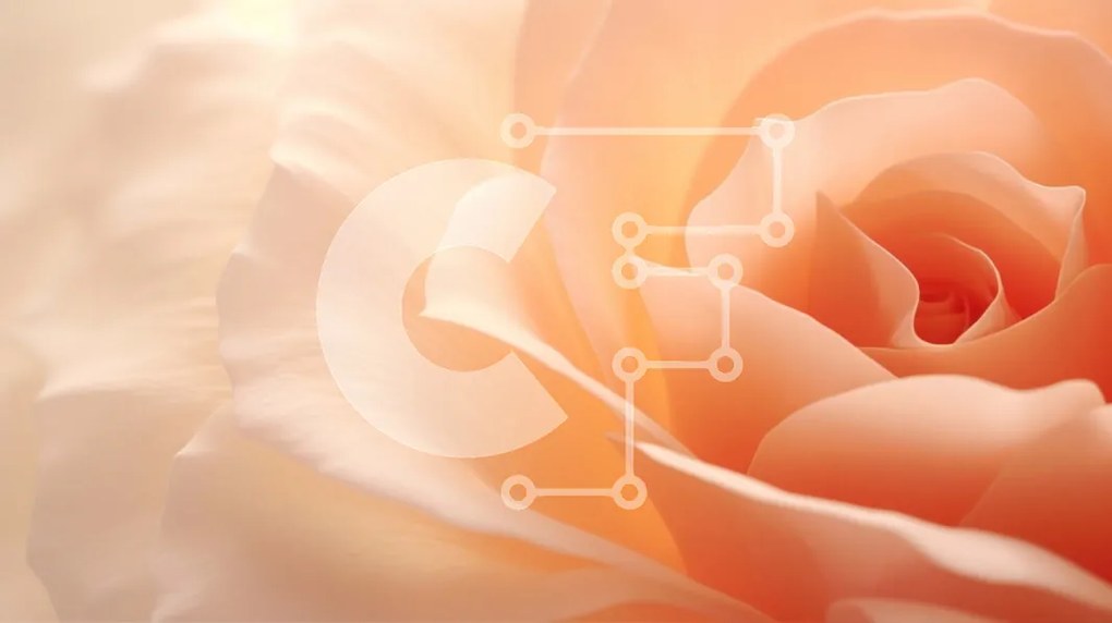 Intra Συλλεκτικό Ξύλινο Παζλ Plywood  4mm - Κοντινό πλάνο του ανθισμένου πορτοκαλιού τριαντάφυλλου Σε Ξύλινο Κουτί - Διαστάσεις: 10x10 cm – 25 κομμάτια