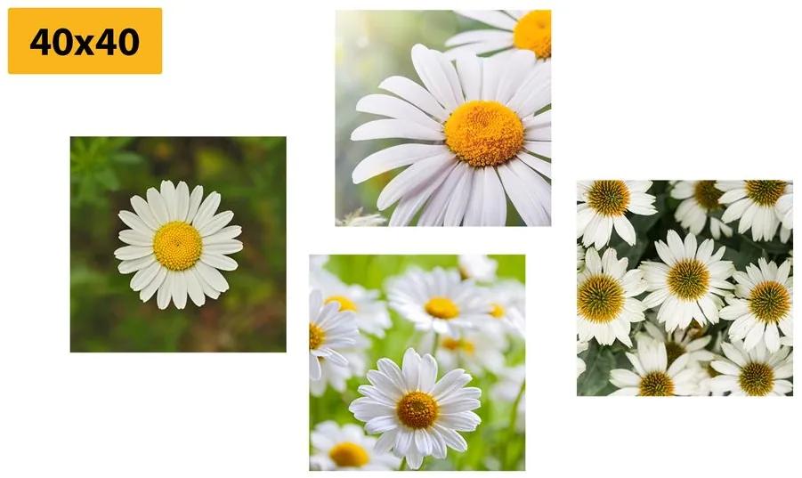 Σετ εικόνων μαγικά λουλούδια - 4x 60x60