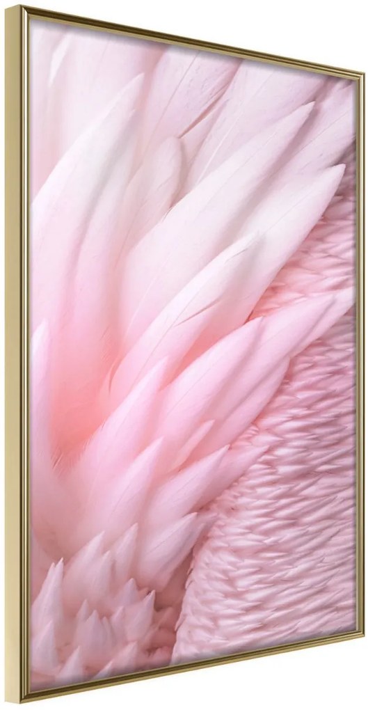 Αφίσα - Pink Feathers - 20x30 - Χρυσό - Χωρίς πασπαρτού