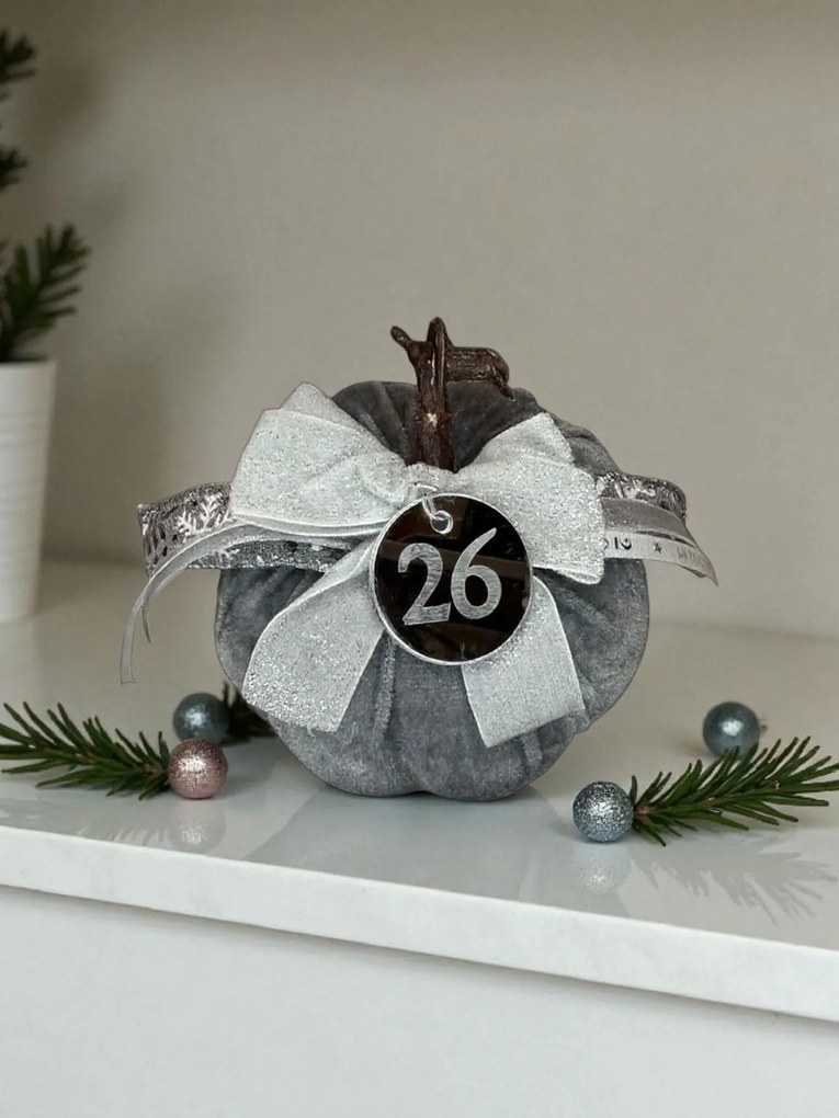 Κολοκύθα Γκρι βελούδινη μεγάλη - Ασημί