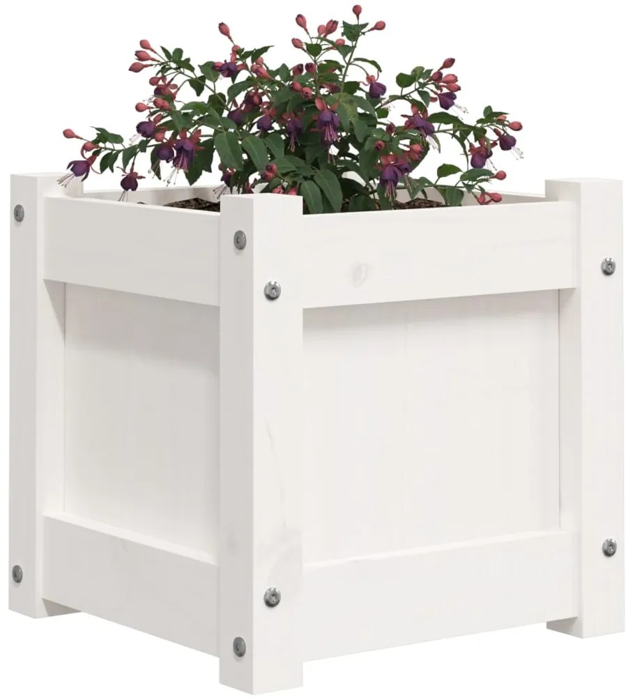 vidaXL Ζαρντινιέρες 2 τεμ. Λευκό από Μασίφ Ξύλο Πεύκου