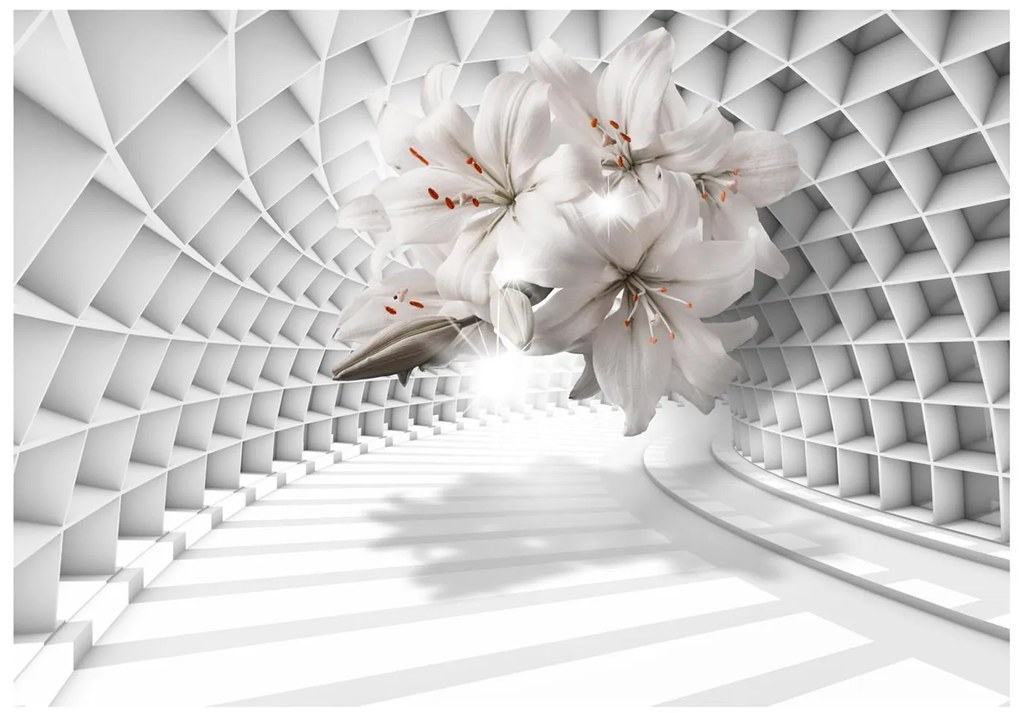 Φωτοταπετσαρία - Flowers in the Tunnel 100x70