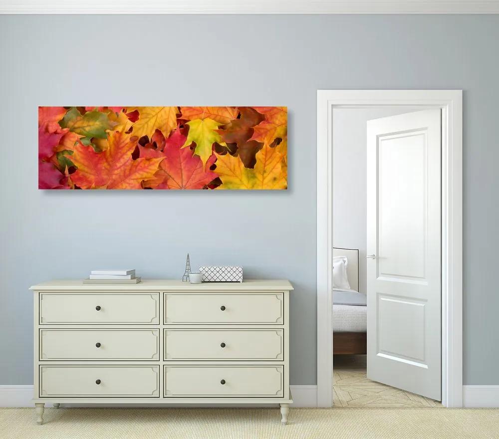 Εικόνα φθινοπωρινά φύλλα - 150x50
