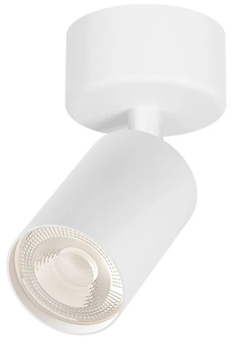 Φωτιστικό Σποτ Braytron BH04-00800 Λευκό (White)
