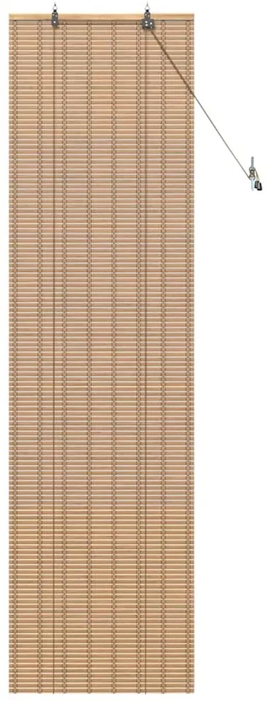 vidaXL Ρολά και Σκίες Παραθύρων Ανοιχτό καφέ 60 x 220 εκ. Μπαμπού