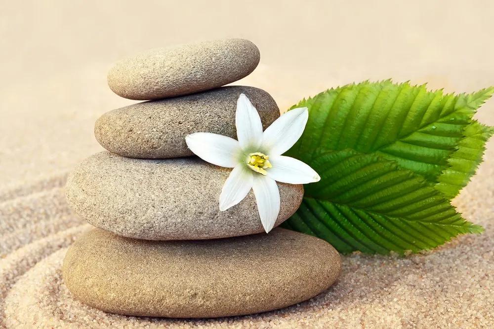 Εικόνα λευκό λουλούδι και πέτρες στην άμμο - 60x40