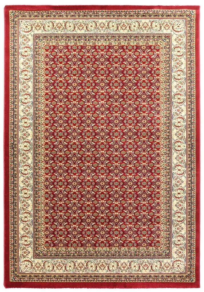 Χαλί (250x300) Royal Carpet Olympia 5238B Red