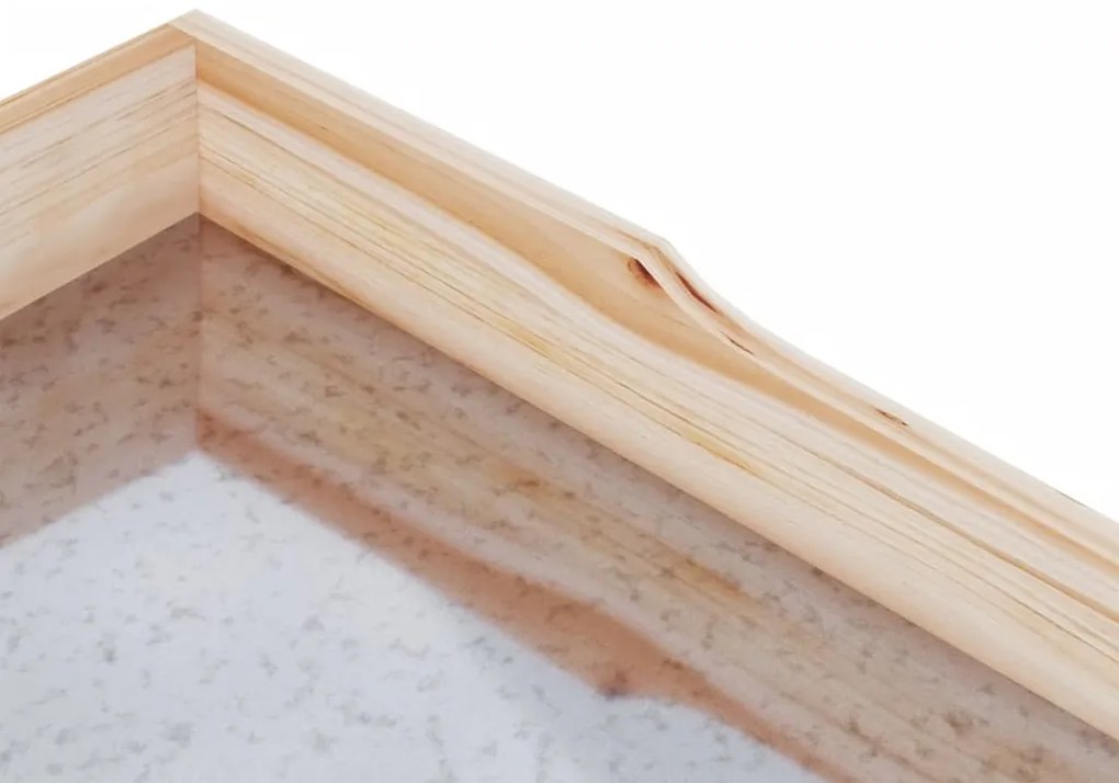 vidaXL Τραπέζι Φυτών με Ράφια 78 x 38 x 82,5 εκ. από Μασίφ Ξύλο Ελάτης