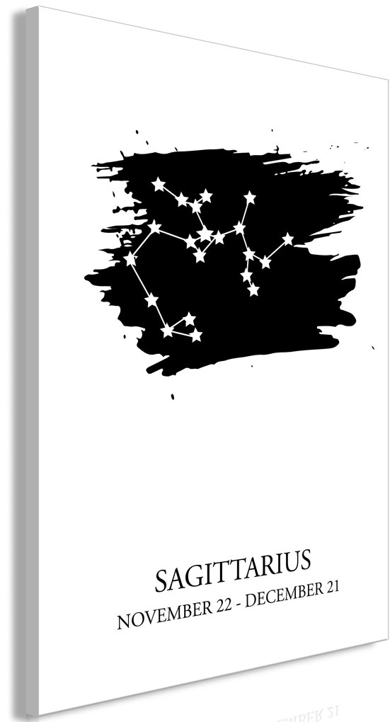 Πίνακας - Zodiac Signs: Sagittarius (1 Part) Vertical - 60x90