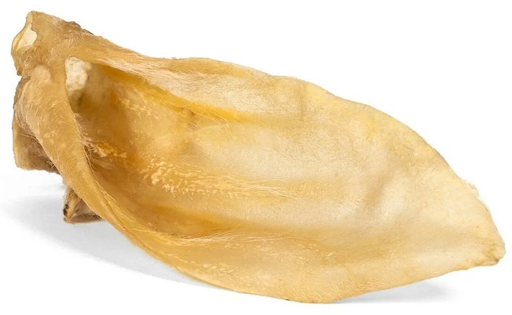 Αυτιά αρνιού Gloria Αυτιά Αρνί