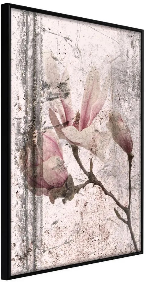 Αφίσα - Queen of Spring Flowers III - 40x60 - Μαύρο - Χωρίς πασπαρτού