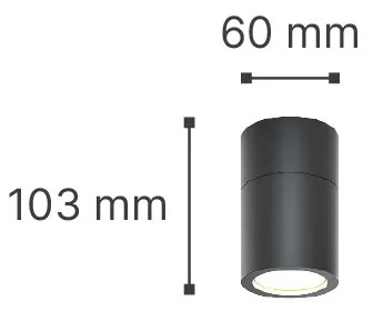 Σποτάκι Chelan 1xGU10 Outdoor Ceiling Down Light Anthracite D:10.3cmx6cm (80300144) - 80300144