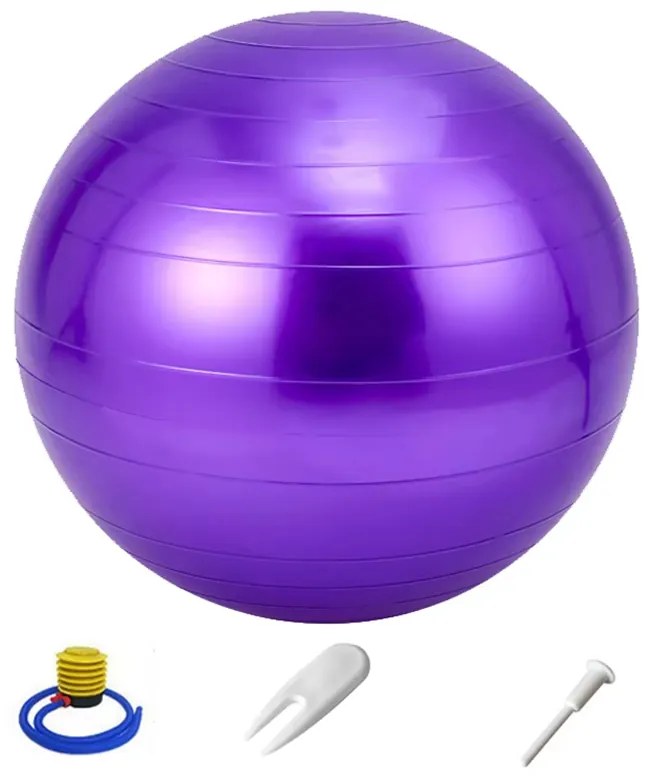 Μπάλα Γυμναστικής Anti-Burst Με Τρόμπα Level-S 65cm 2.5mm Μωβ L32856