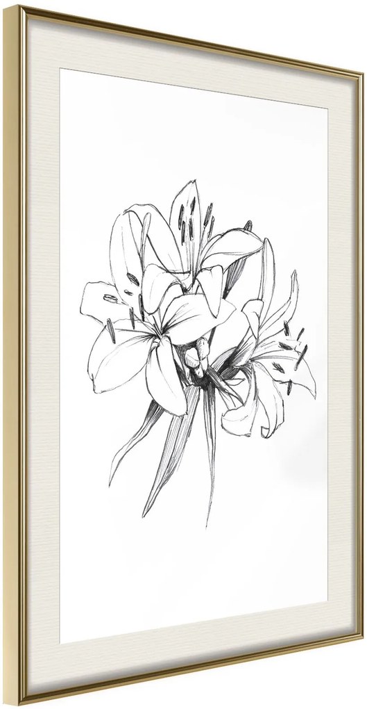 Αφίσα - Sketch of Lillies - 20x30 - Χρυσό - Με πασπαρτού