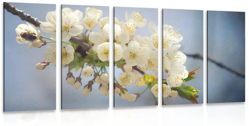 Εικόνα 5 μερών ενός κλαδιού από άνθη κερασιάς - 200x100