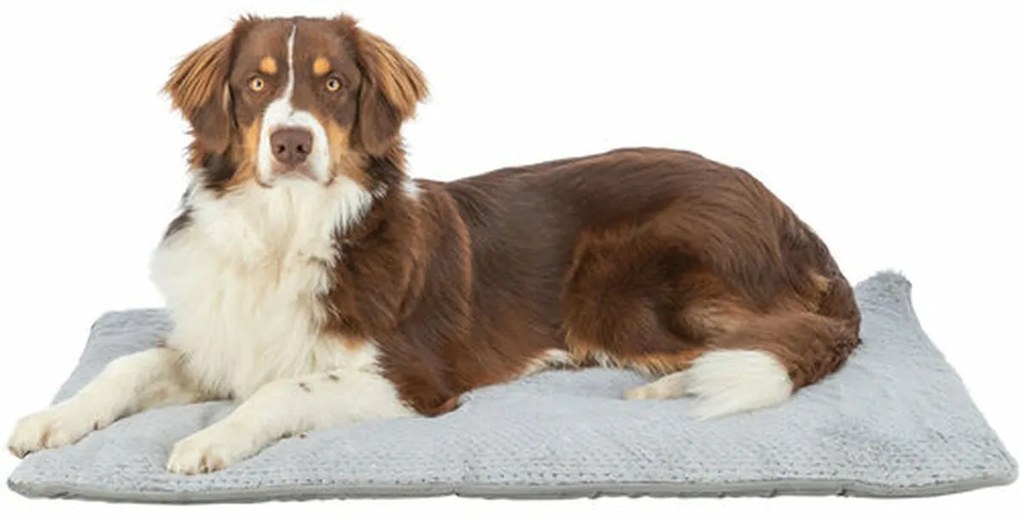 Κρεβάτιγια Σκύλους Trixie Livia Soft Γκρι 90 x 60 cm