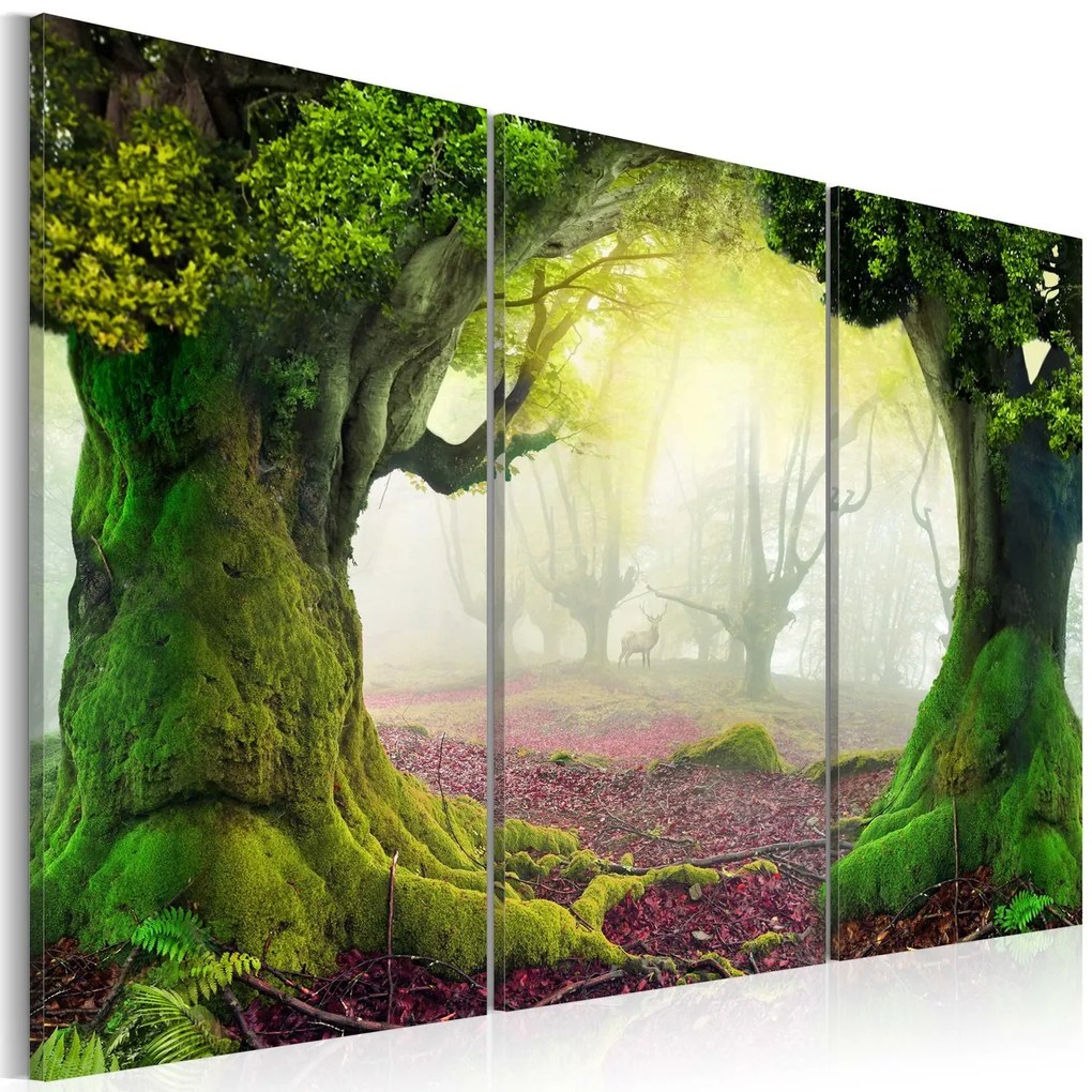 Πίνακας - Mysterious forest - triptych 120x80