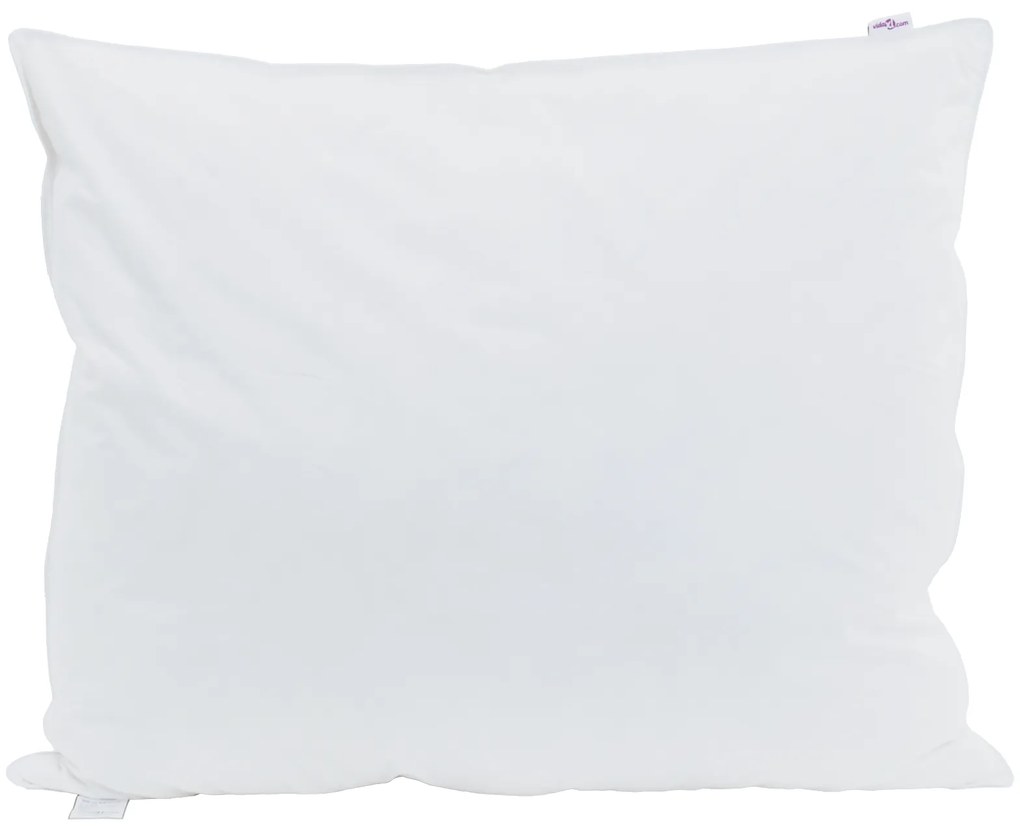 vidaXL Μαξιλάρια 2 pcs Λευκό 60 x 70 εκ. 130gsm 100% βαμβάκι
