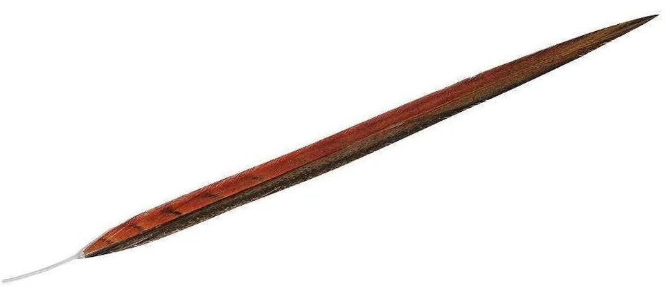 Φτερό Διακοσμητικό FTE116K6 55cm Orange-Brown Espiel Paper