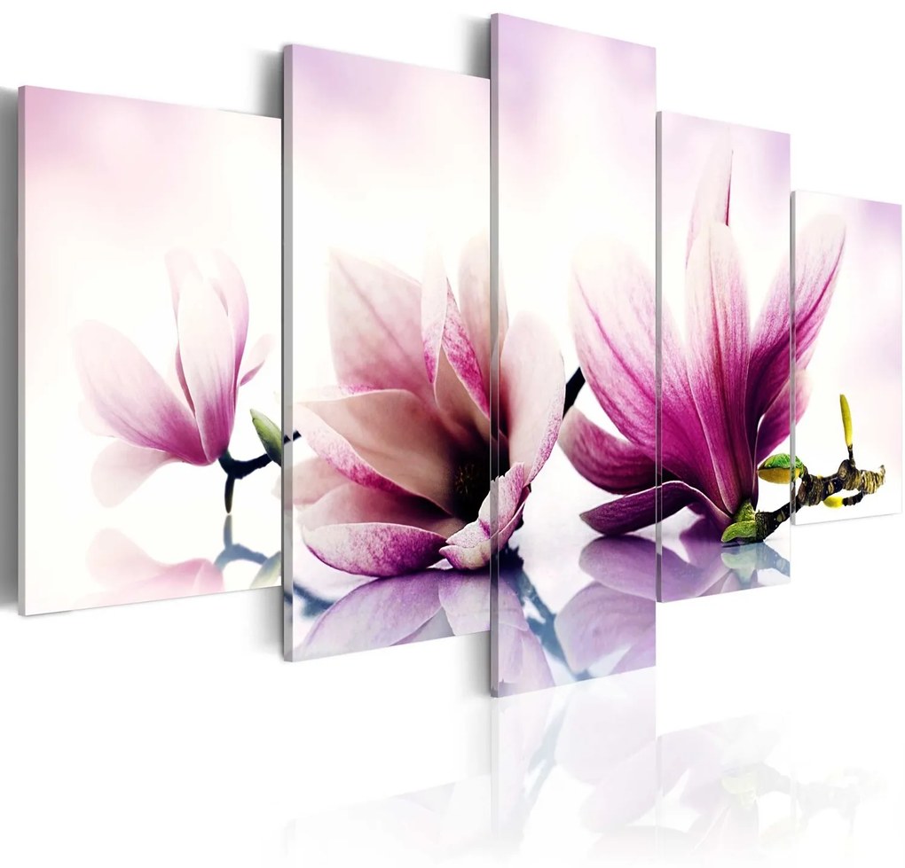 Πίνακας - Pink flowers: magnolias 100x50