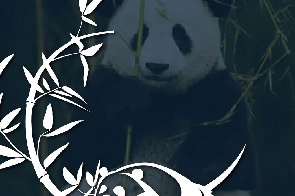 Σετ των 2 Intra απο ξύλο plywood 3mm-4mm πάχος - Cricut Panda με Bamboo  Δίασταση 20x20 cm INTRAFABR-68640309