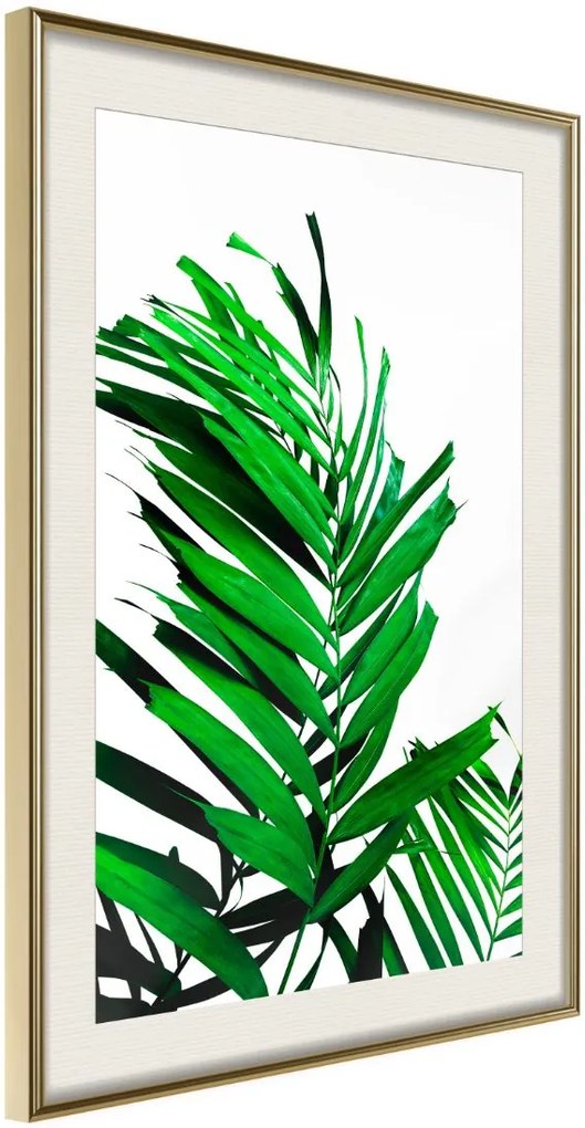 Αφίσα - Emerald Palm - 40x60 - Χρυσό - Με πασπαρτού