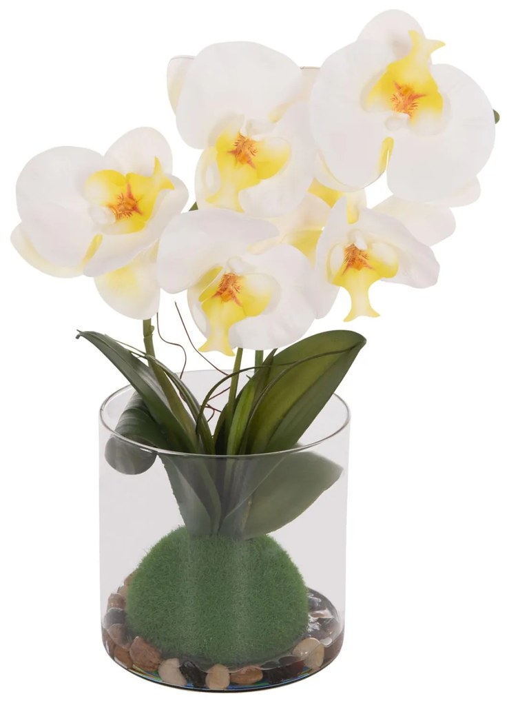 Διακοσμητικό Συνθετικό Φυτό Λουλούδι PHALAENOPSIS C4738 σε Γυάλινο Βάζο 12x24x30Υεκ 12x24x30 εκ.