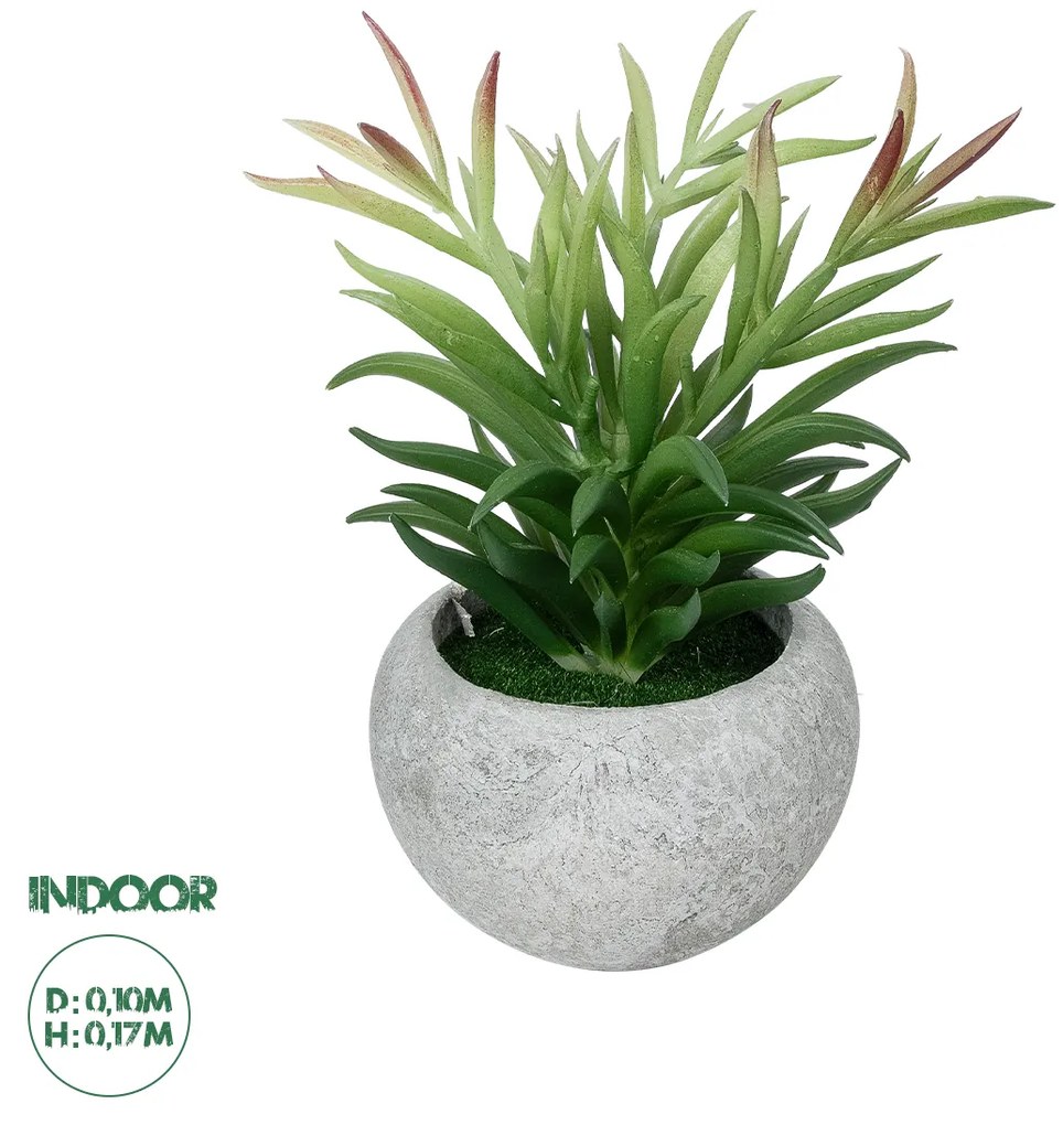 GloboStar® Artificial Garden SUCCULENT CRASSULA POTTED PLANT 21038 Διακοσμητικό Φυτό Κρασούλα  Φ10 x Υ17cm