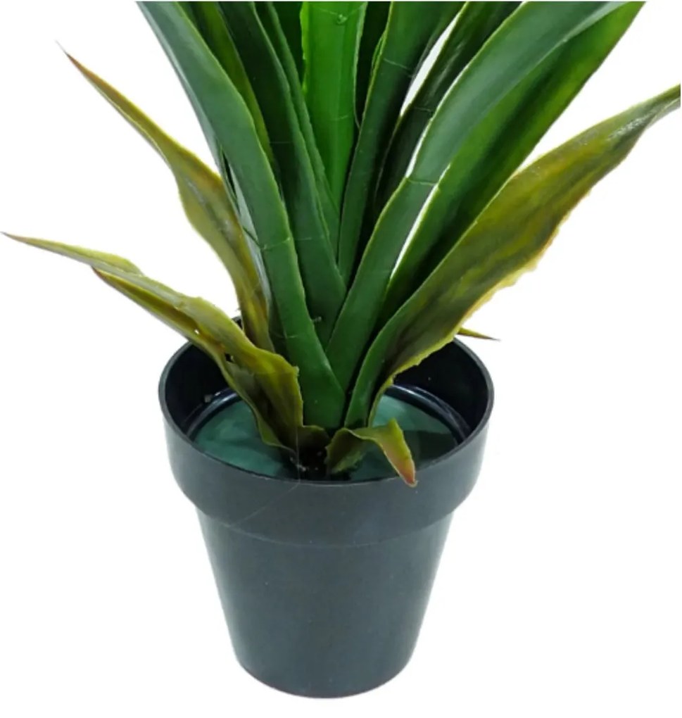 Plant in Pot CONCORAL Γιούκα 2621200B-GR