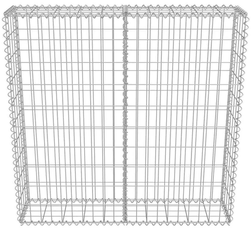vidaXL Συρματοκιβώτιο Τοίχος 100x20x100 εκ. Γαλβαν.Χάλυβας + Καλύμματα