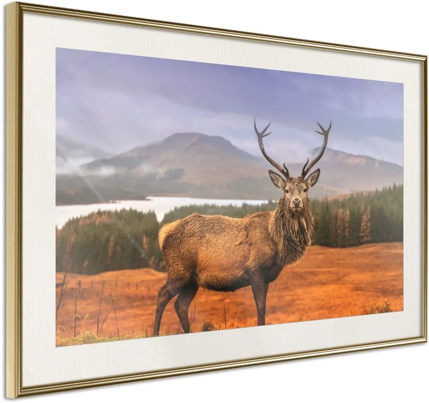 Αφίσα - Majestic Deer - 60x40 - Χρυσό - Με πασπαρτού