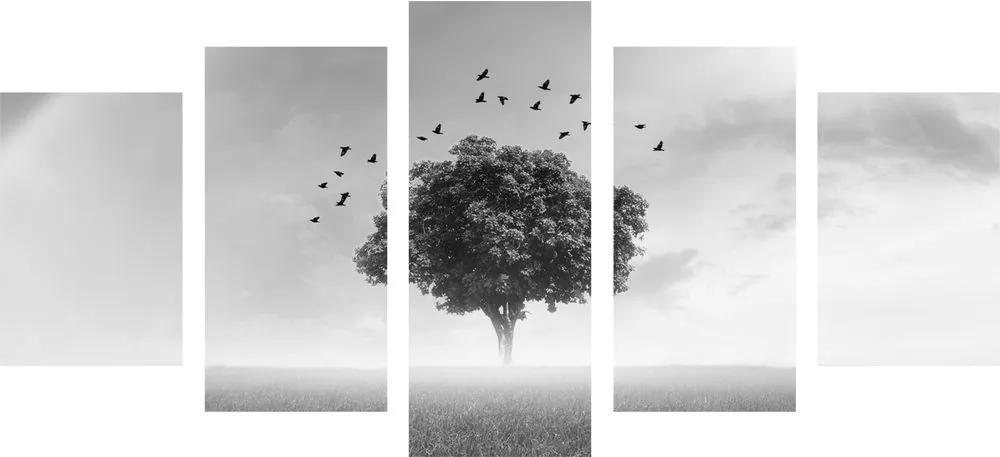 Εικόνα 5 μερών μοναχικό δέντρο σε λιβάδι σε ασπρόμαυρο - 200x100