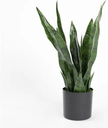 Τεχνητό Φυτό Σανσεβιέρια Robusta 55 εκ. 9880-6 Supergreens-9880-6-Πράσινο 9880-6