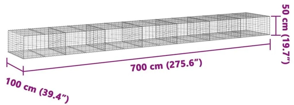 Συρματοκιβώτιο με Κάλυμμα 700x100x50εκ. από Γαλβανισμένο Χάλυβα - Ασήμι