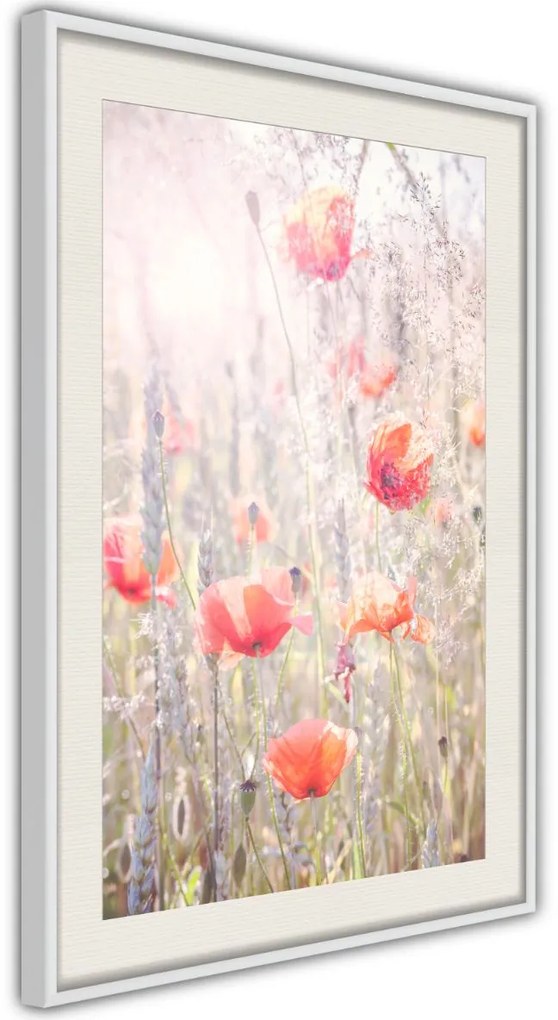 Αφίσα - Poppies - 20x30 - Χρυσό - Χωρίς πασπαρτού