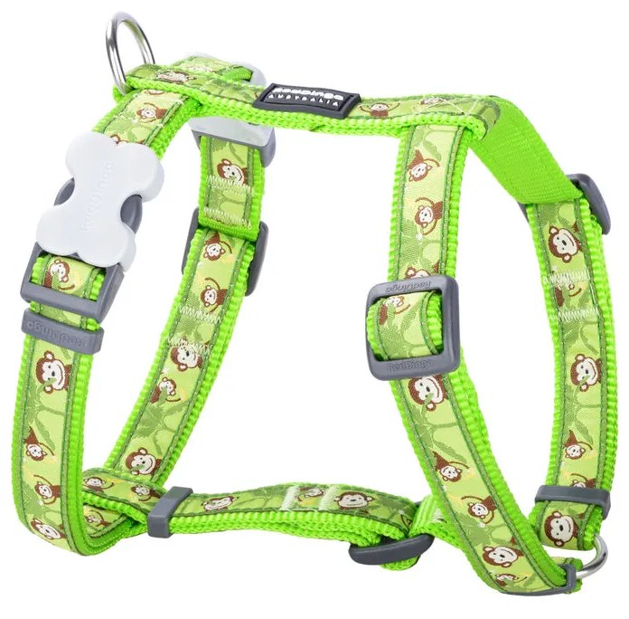 Λουρί Σκύλου Red Dingo STYLE MONKEY LIME GREEN 45-66 cm 36-59 cm