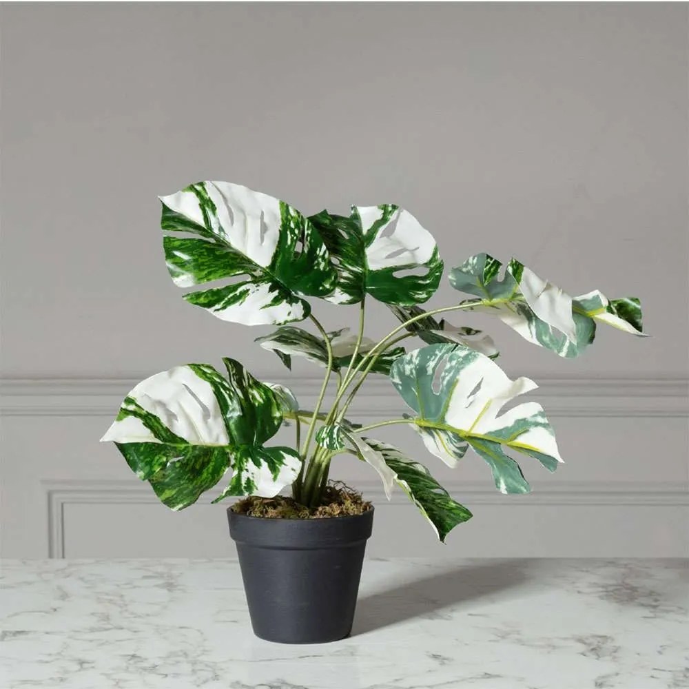 Τεχνητό Φυτό Μονστέρα Albo Variegata 3870-6 45cm Green Supergreens Polyethylene