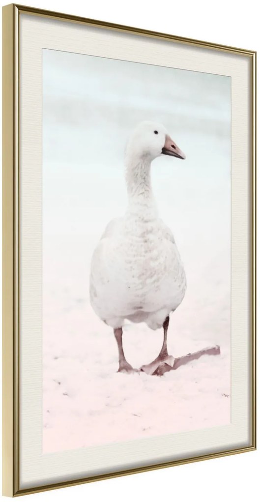 Αφίσα - Walking Goose - 30x45 - Χρυσό - Με πασπαρτού