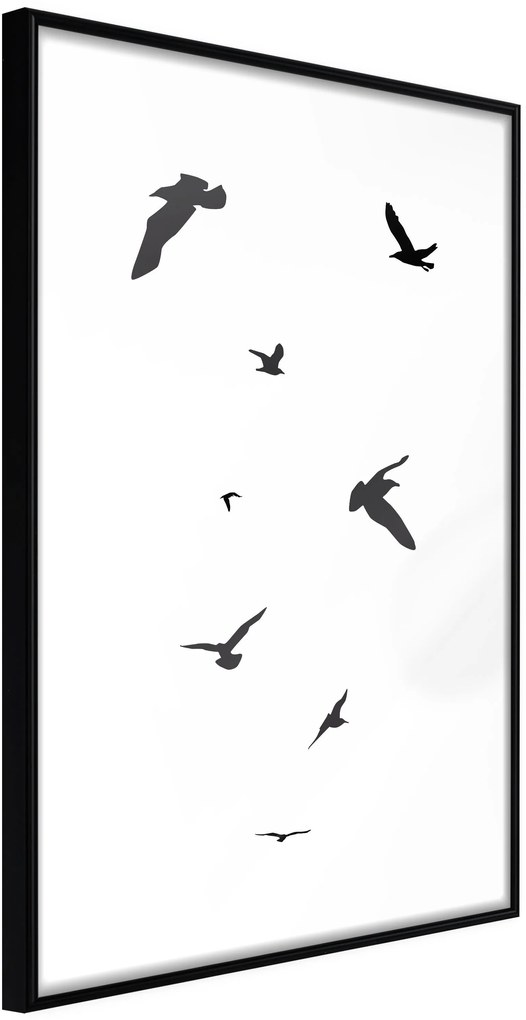 Αφίσα - Birds - 40x60 - Μαύρο - Χωρίς πασπαρτού